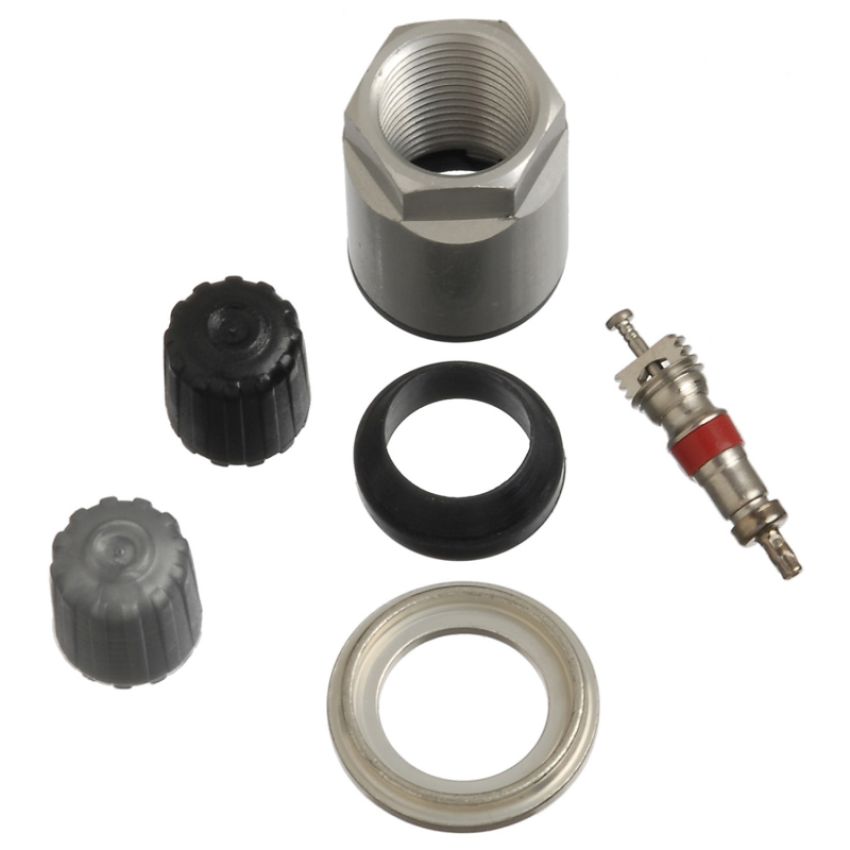 SCHRADER VALVES 20030-25 TPMS Service Pk - Clamp-In - 25 Pk Pack of 25
