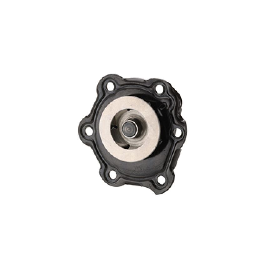 Dayco DP975 Water Pump