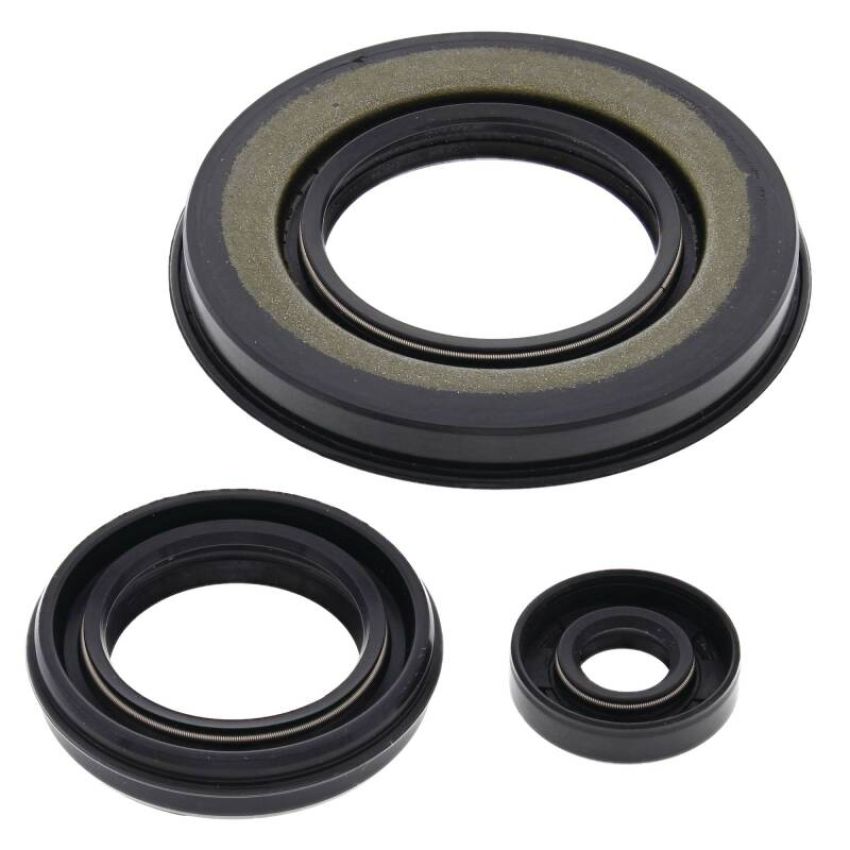 Vertex Pistons 55198 Vertex Gaskets 00-02 Yamaha Mountain Max 600 Oil Seal Kit