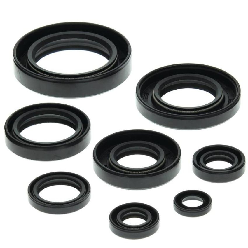 Vertex Pistons 822147 Vertex Gaskets 85-86 Honda ATC250R Oil Seal Kit