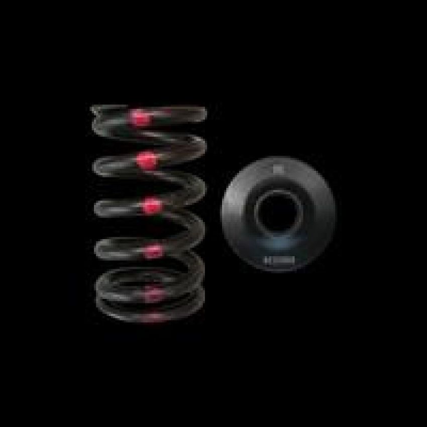 Brian Crower BC0200S Nissan SR20DE/DET Single Spring & Steel Retainer Kit