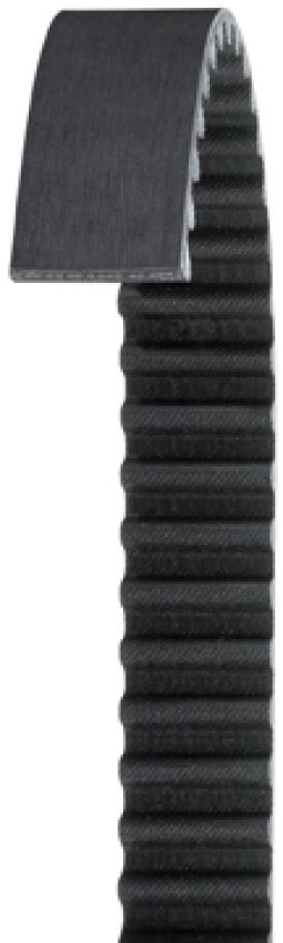 Dayco 270L100 Syn Cog T-O