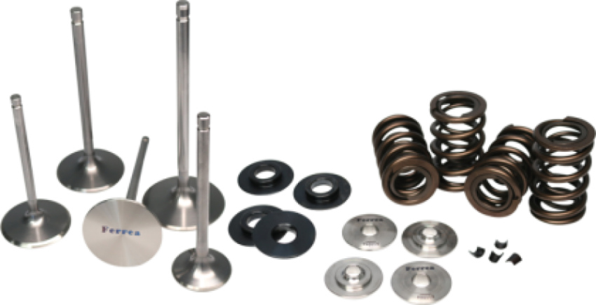 Ferrea KT4045 01-06 BMW S54 Dual Spring Kit