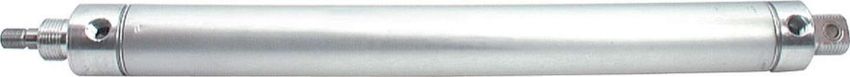 ALLSTAR PERFORMANCE ALL48000 Wing Cylinder 10in