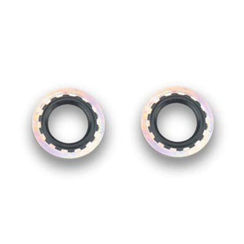 EARLS EAR178009ERL Stat-O-Seals 9/16in -6AN 2pk