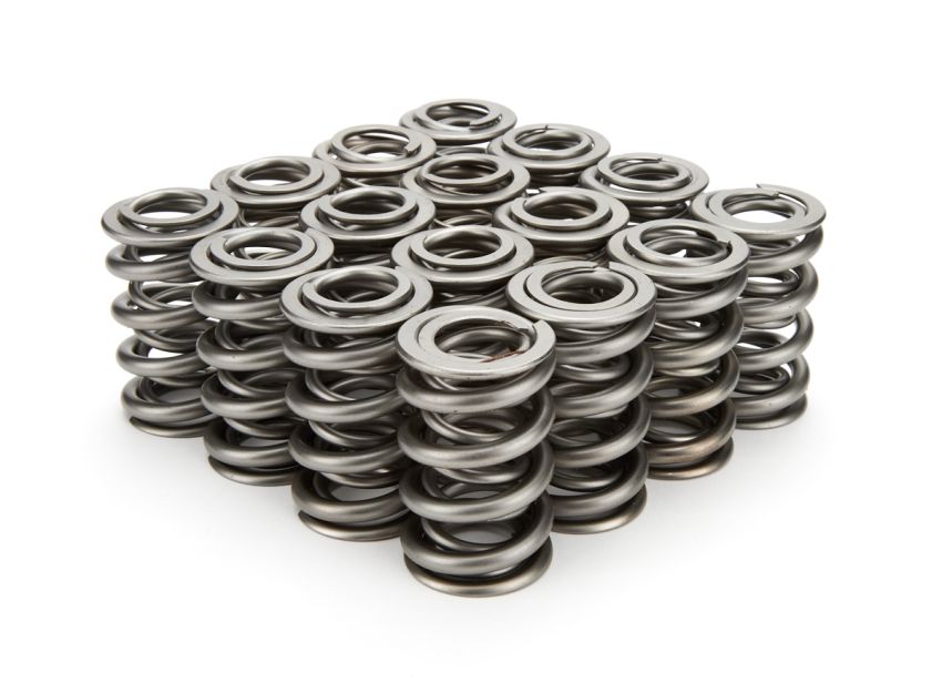 PAC RACING SPRINGS PACPAC-1325-16 1.550 Dual Valve Springs - (16)