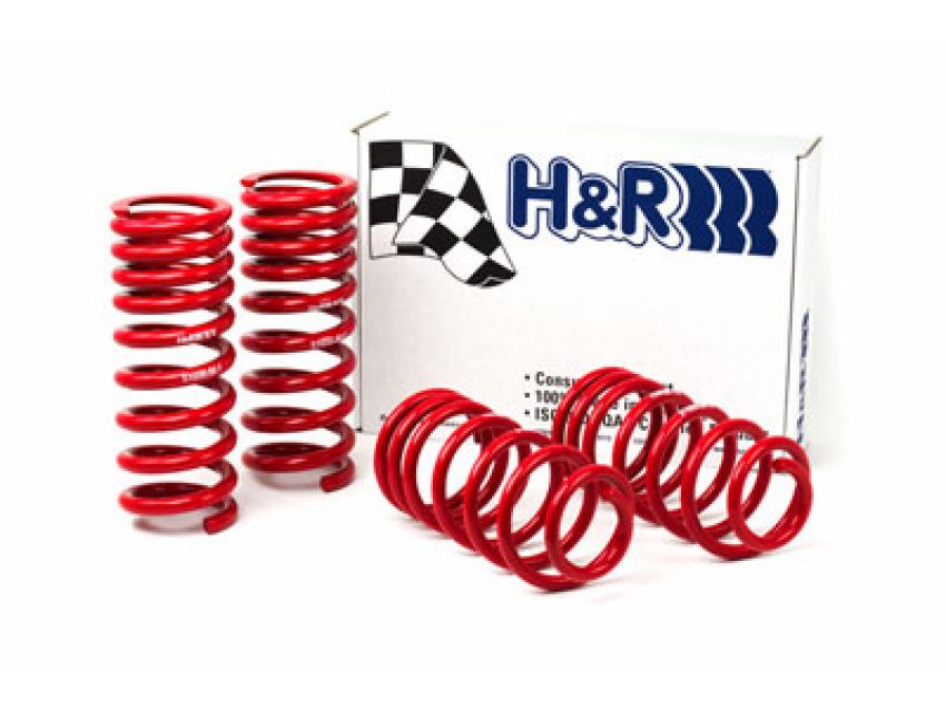 H&R 51650-88 94-95 Ford Mustang/Mustang Cobra V8 Race Spring
