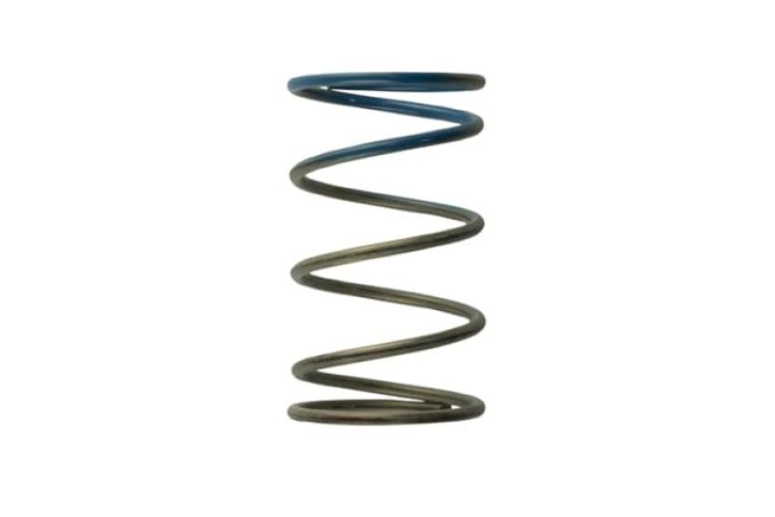 Turbosmart TS-0505-2005 WG40 10PSI Outer Spring Brown/Blue