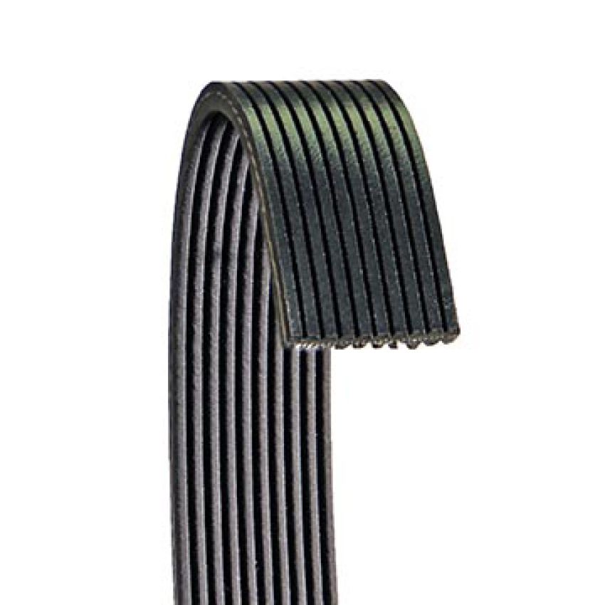 Dayco 6100741 V-Ribbed Belt