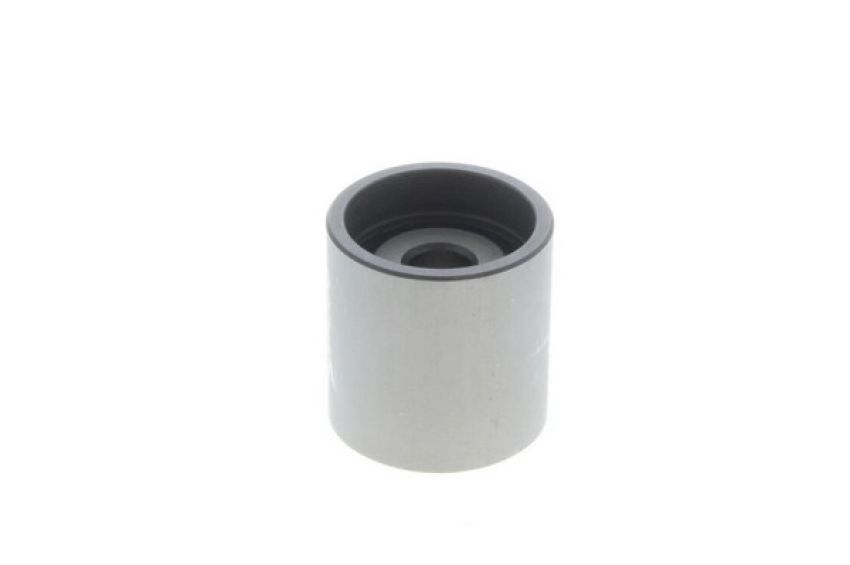 VAICO V10-0184 TB GUIDE PULLEY