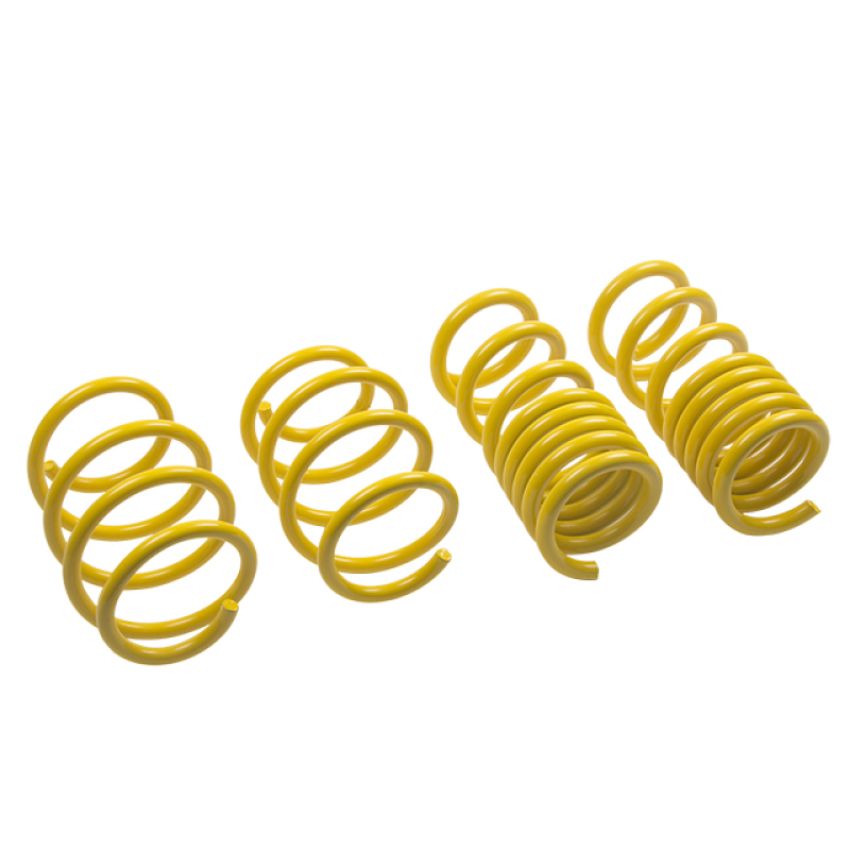 Suspension (28230052 ST LOWERING SPRINGS)
