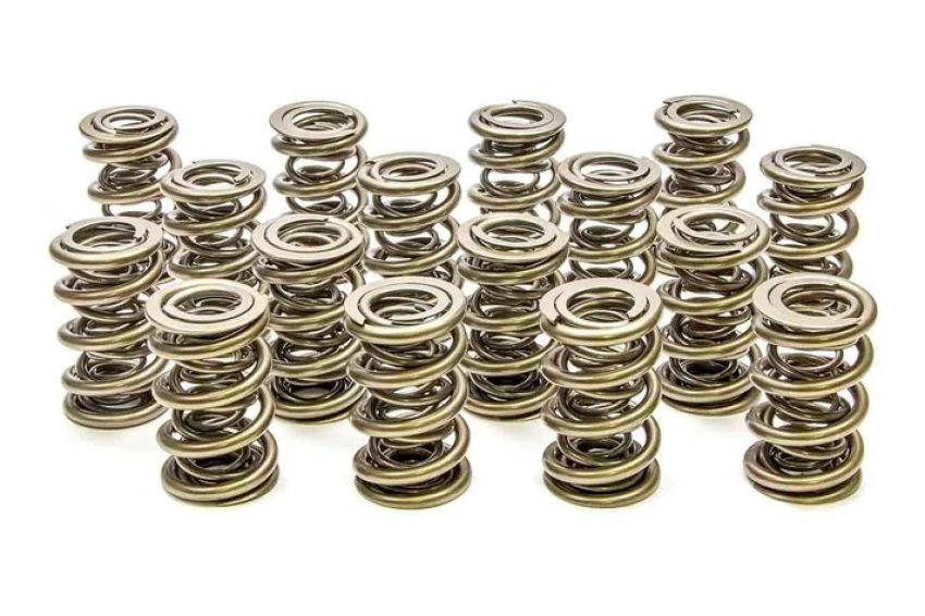PAC RACING SPRINGS PACPAC-1353-16 1.695 Triple Valve Springs - (16)