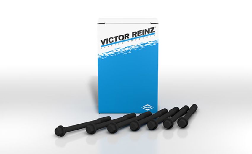 Victor Reinz GS33600 MAHLE Original Eagle Summit 96 Cylinder Head Bolts