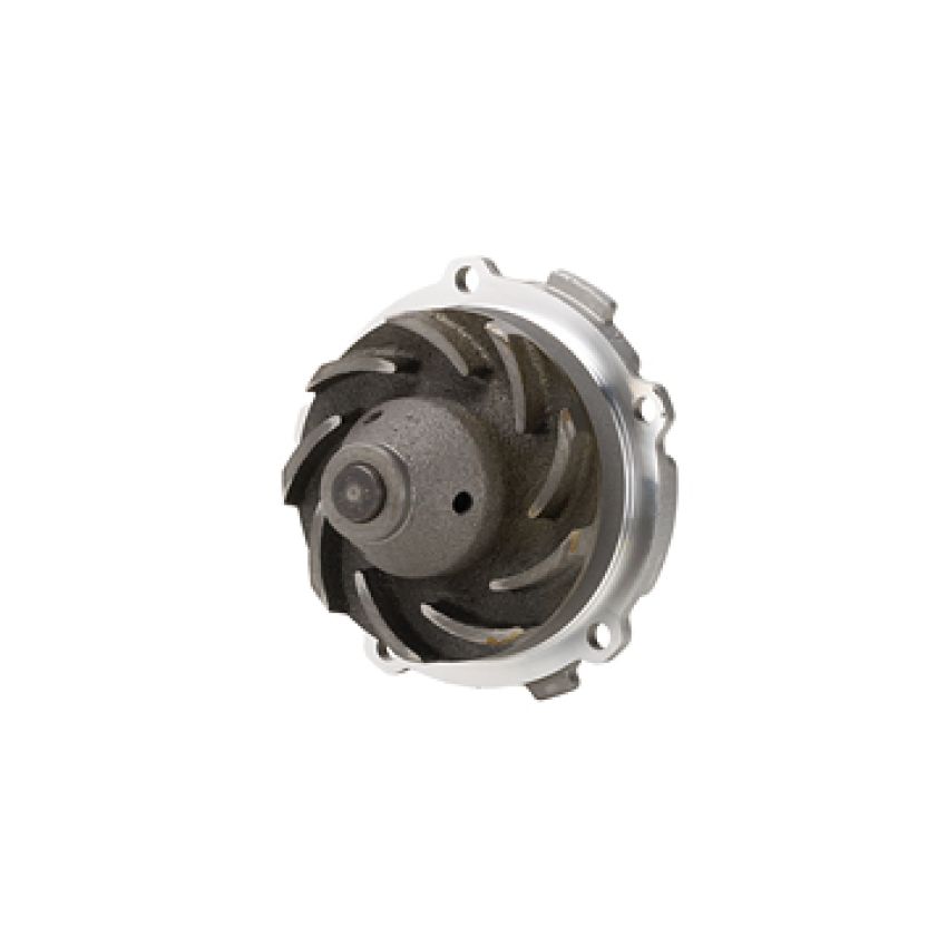 Dayco DP960 Water Pump