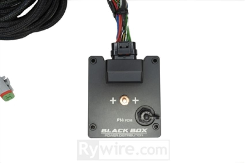 Rywire RY-CHASSIS-HONDA-P14 P14 PDM Honda Chassis Harness Kit (Drop Ship Only Note PO w/Model for Head/Taillight Adaptor)