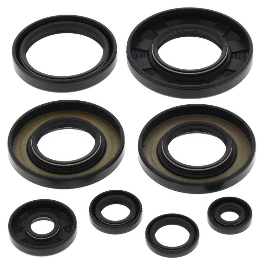 Vertex Pistons 822349 Vertex Gaskets 09-14 Yamaha YFM550 Grizzly Oil Seal Kit