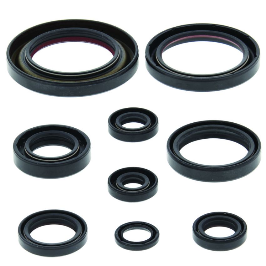 QuadBoss 564171 06-14 Honda TRX450ER Oil Seal Set