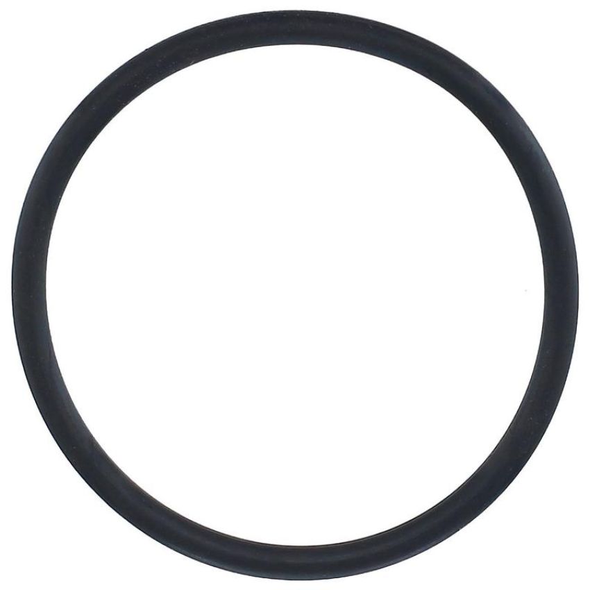 Elring 007.920 Seal Ring