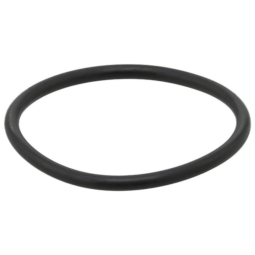 Elring 007.920 Seal Ring