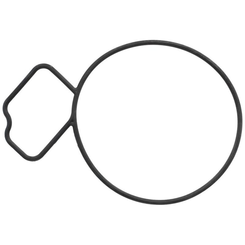 Elring 061.670 Gasket, water pump