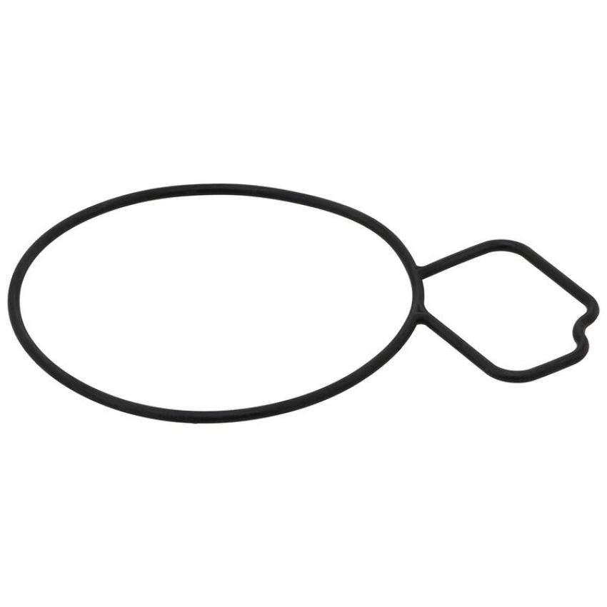 Elring 061.670 Gasket, water pump