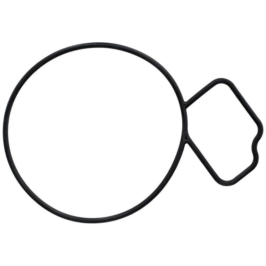 Elring 061.670 Gasket, water pump