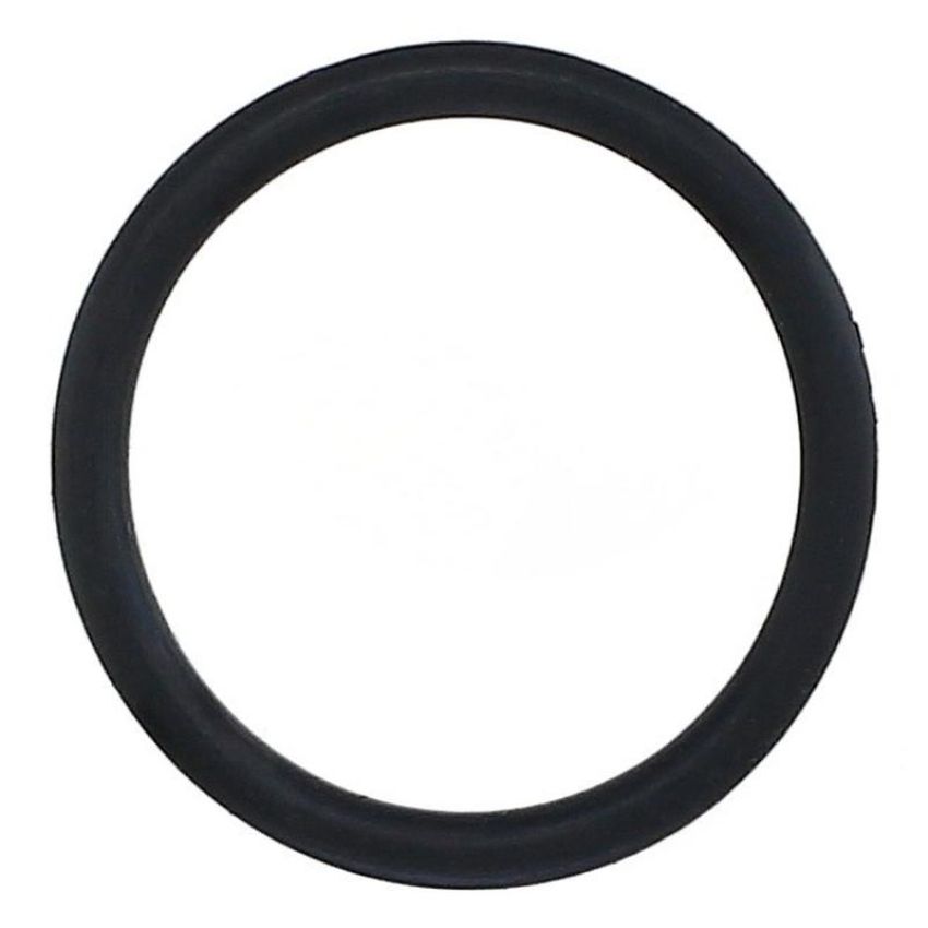 Elring 096.170 Seal Ring