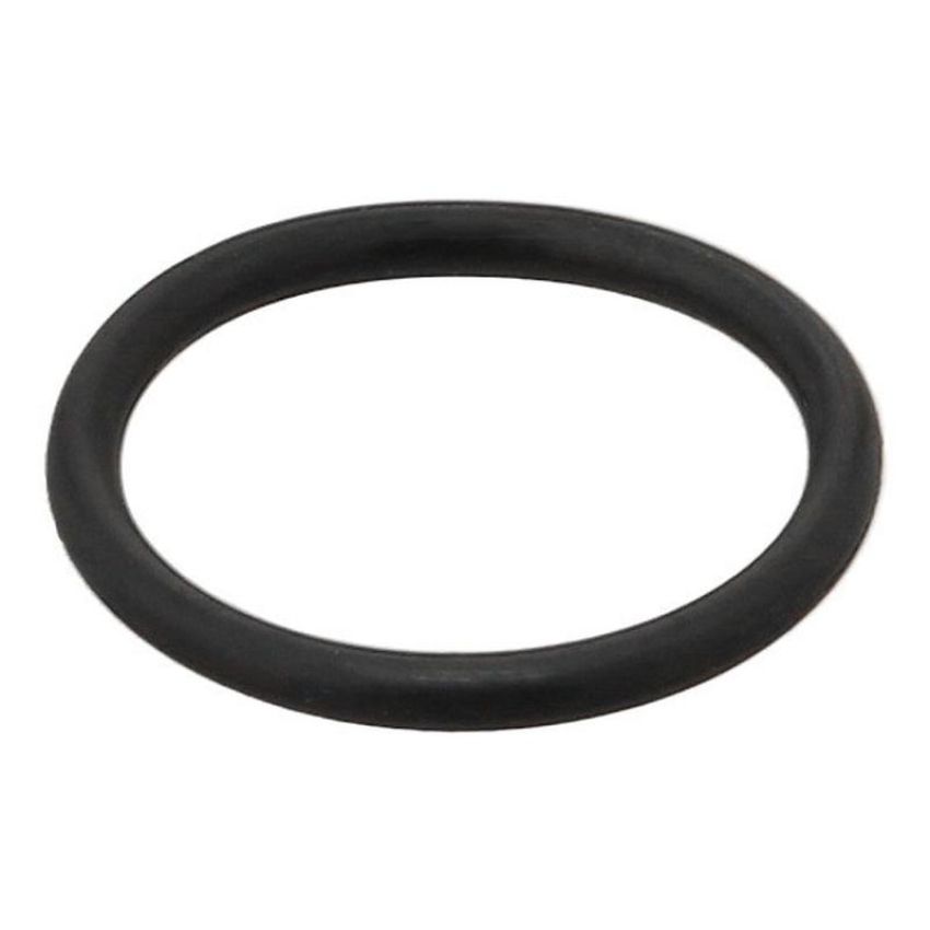 Elring 096.170 Seal Ring