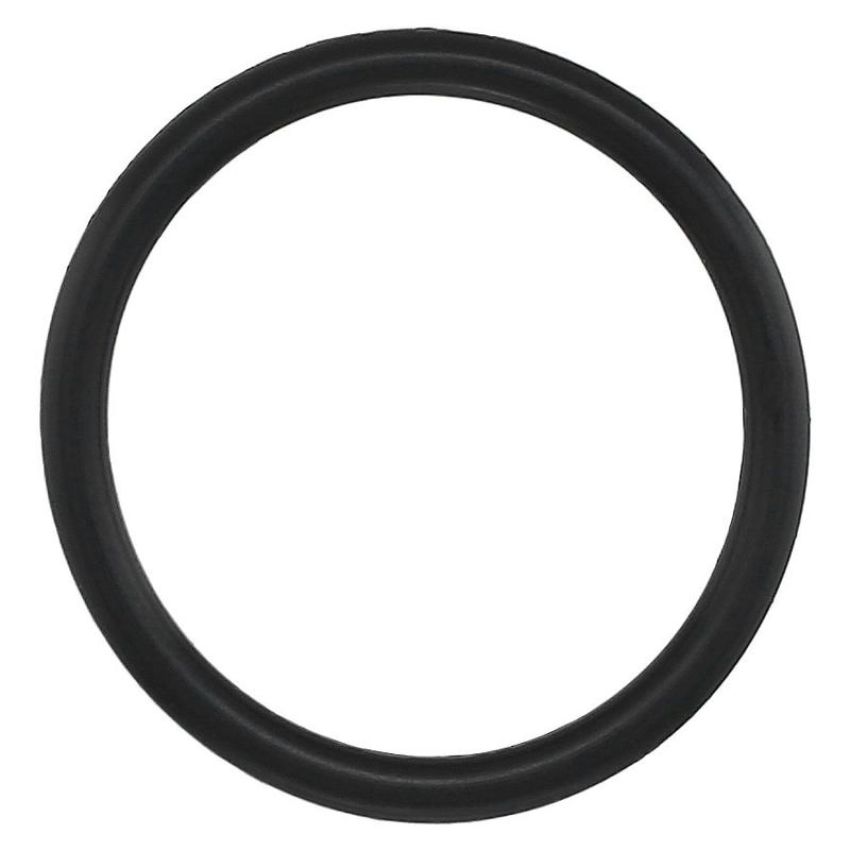 Elring 099.320 Seal, fuel line