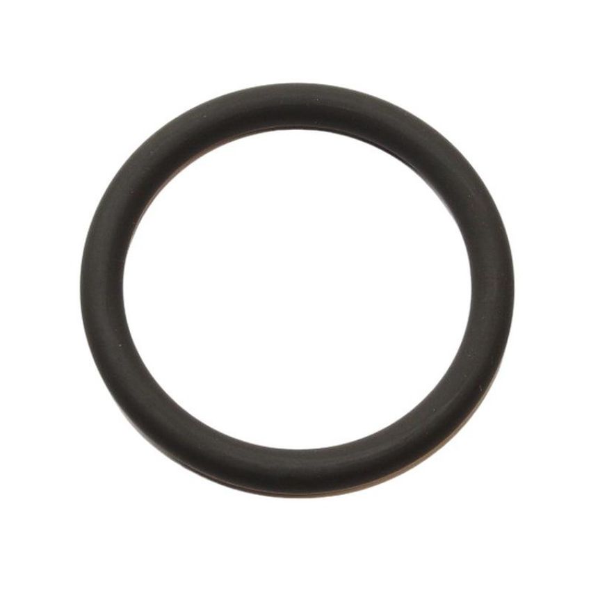 Elring 199.310 Seal Ring