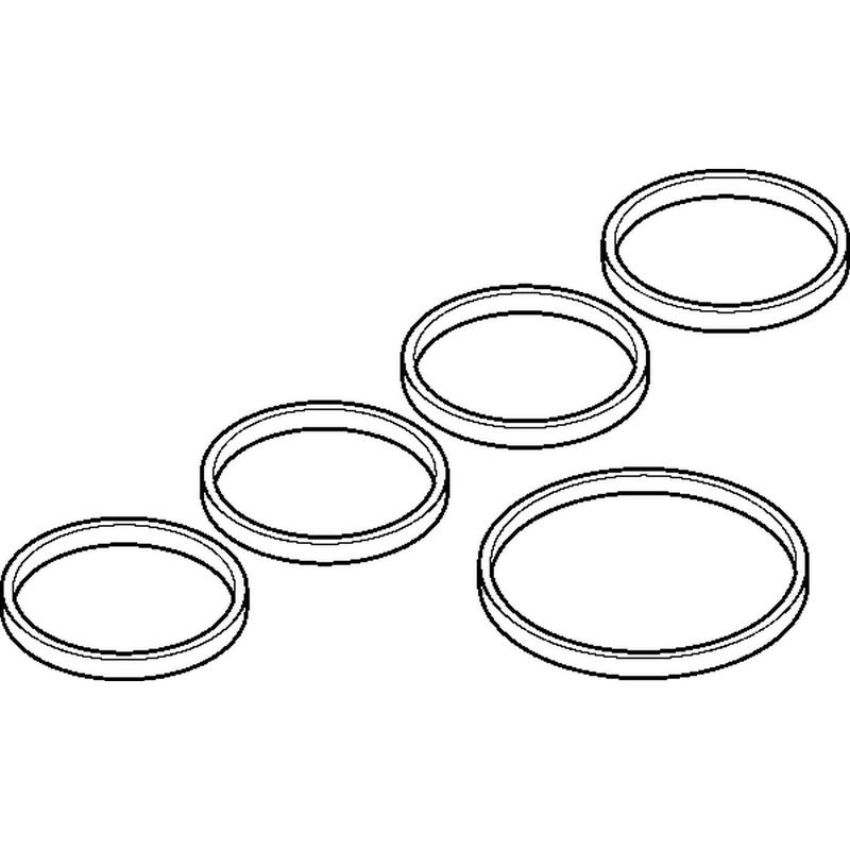 Elring 207.210 Gasket Set, intake manifold