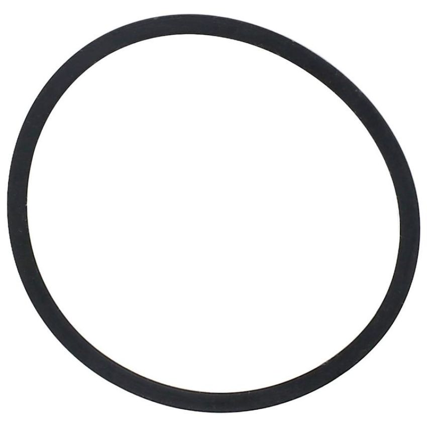 Elring 243.840 Seal Ring