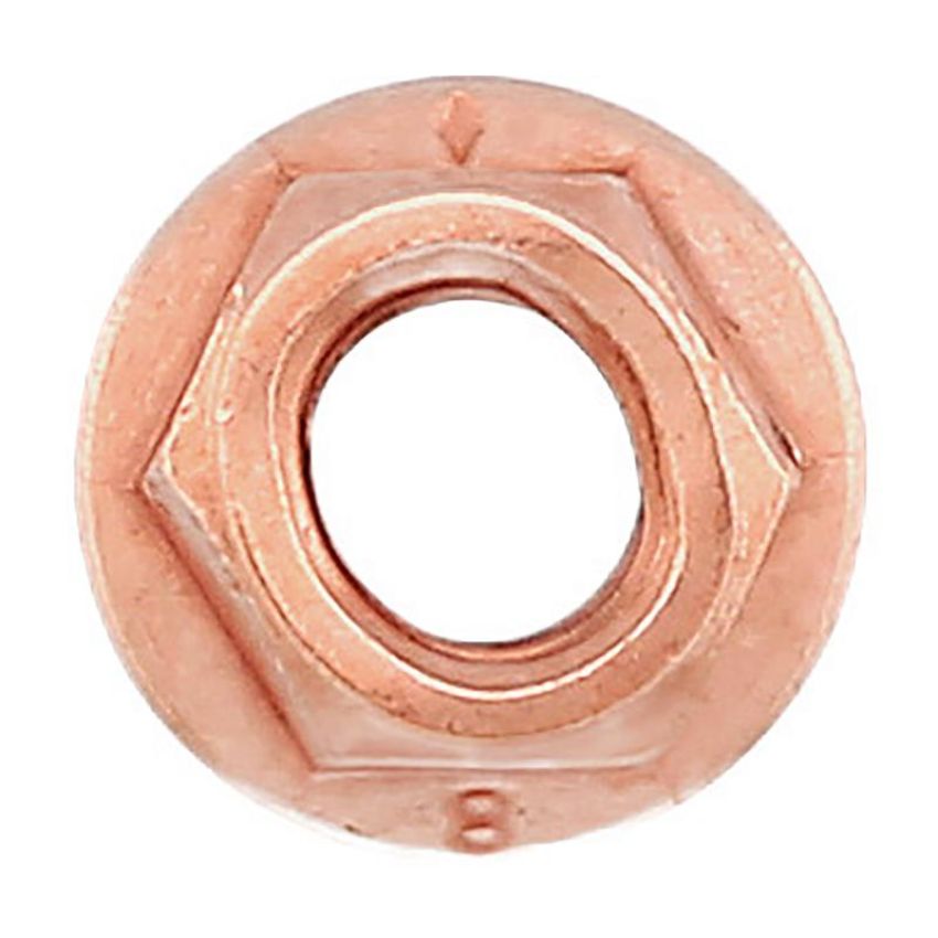 Elring 247.130 Nut Pack of 10