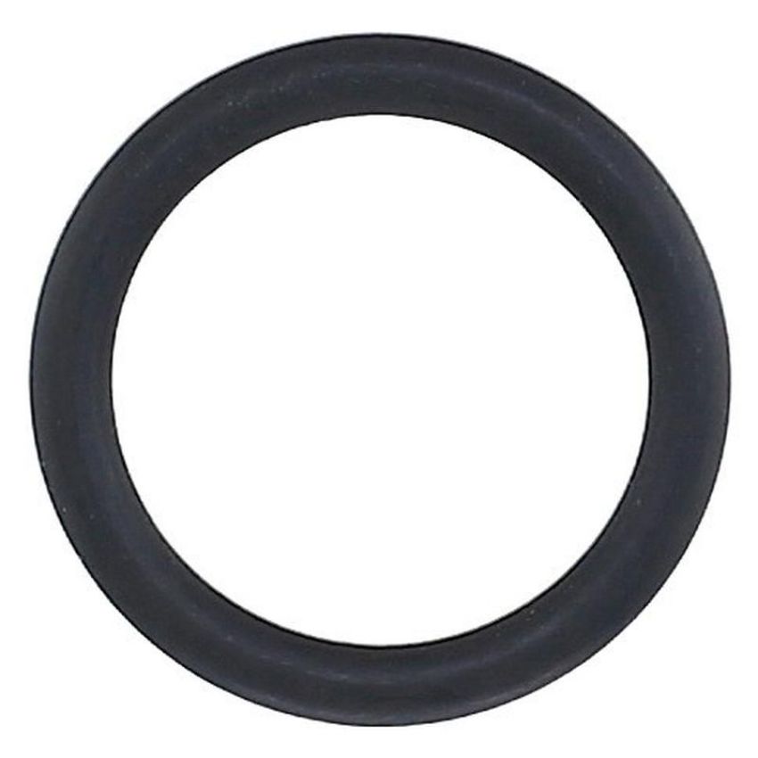 Elring 255.580 Seal Ring