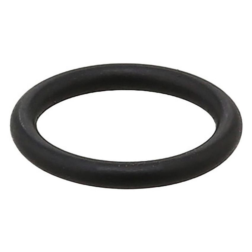 Elring 255.580 Seal Ring