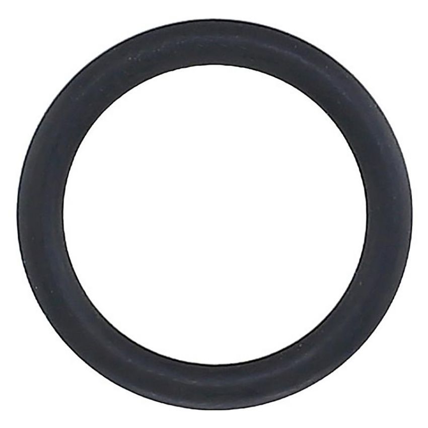 Elring 255.580 Seal Ring