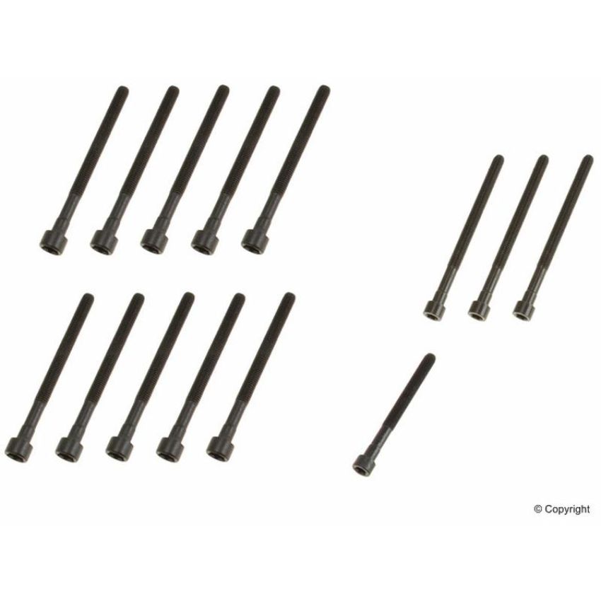 Elring 270.190 Cylinder Head Bolt Set