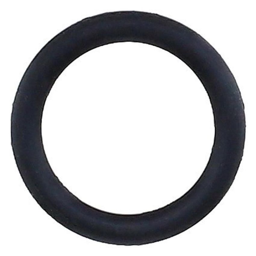 Elring 294.430 Seal Ring