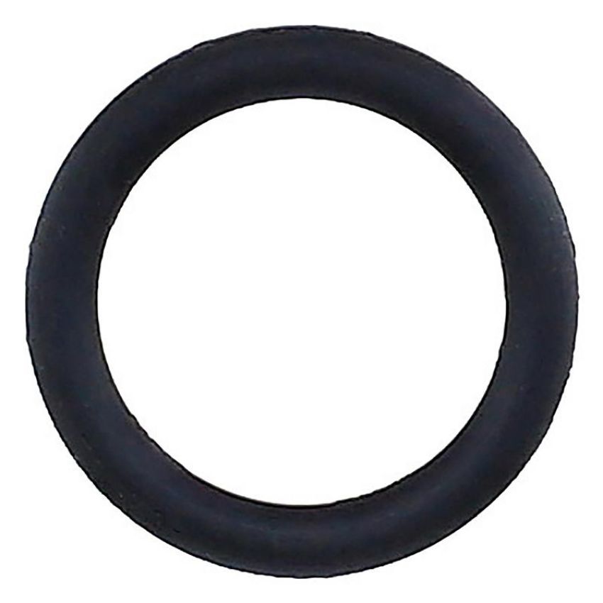 Elring 294.430 Seal Ring