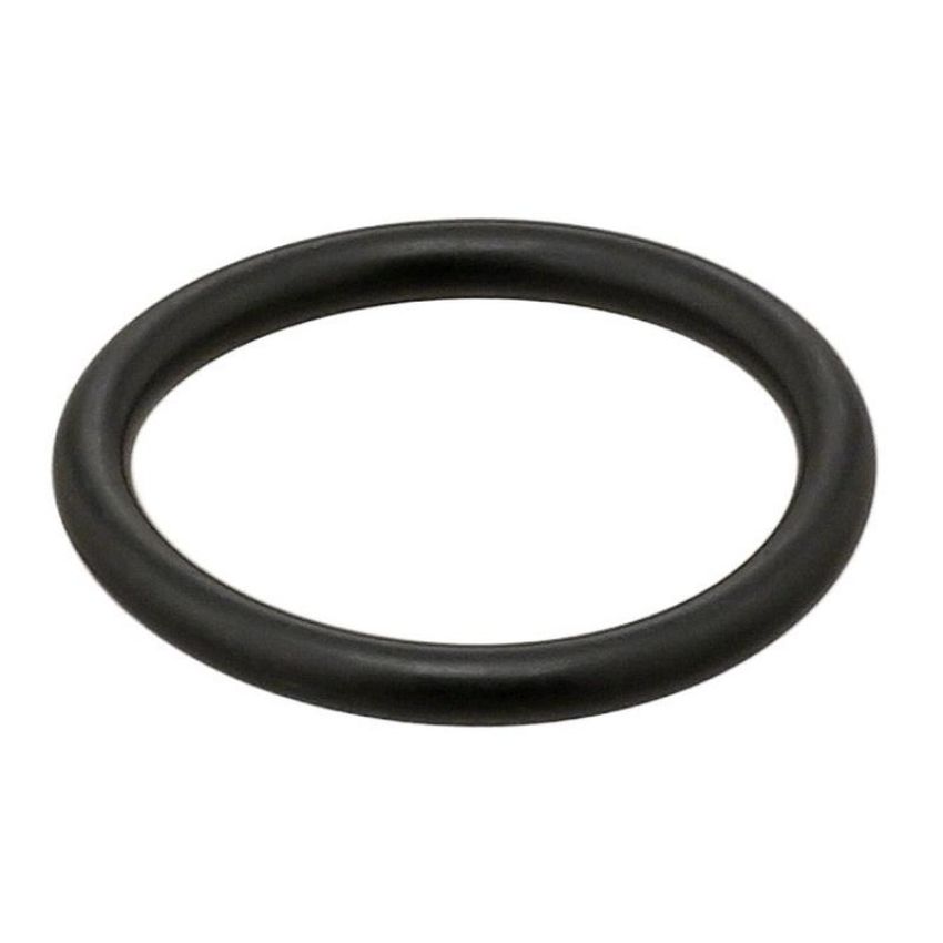 Elring 328.210 Seal Ring