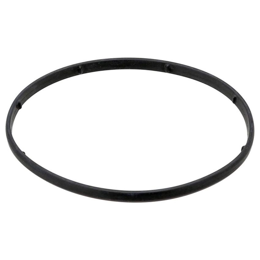 Elring 333.161 Seal Ring