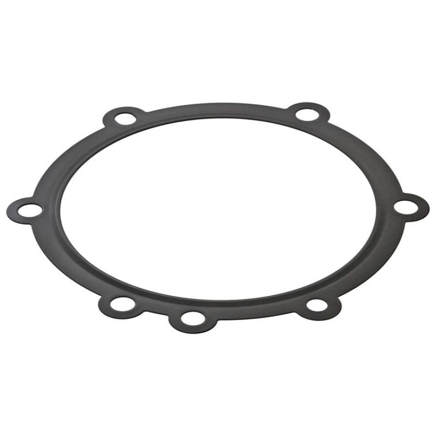 Elring 454.300 Gasket, water pump