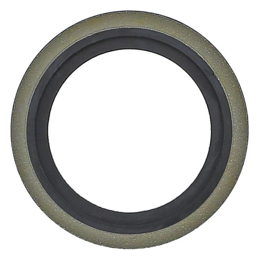 Elring 509.410 Seal Ring