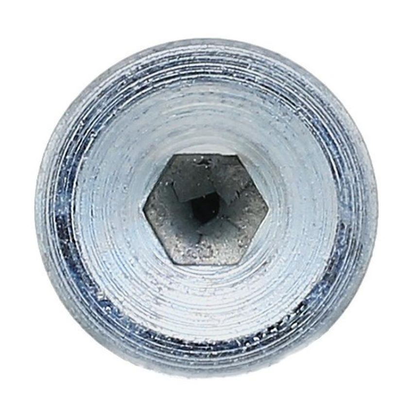 Elring 523.450 Screw Plug, oil sump