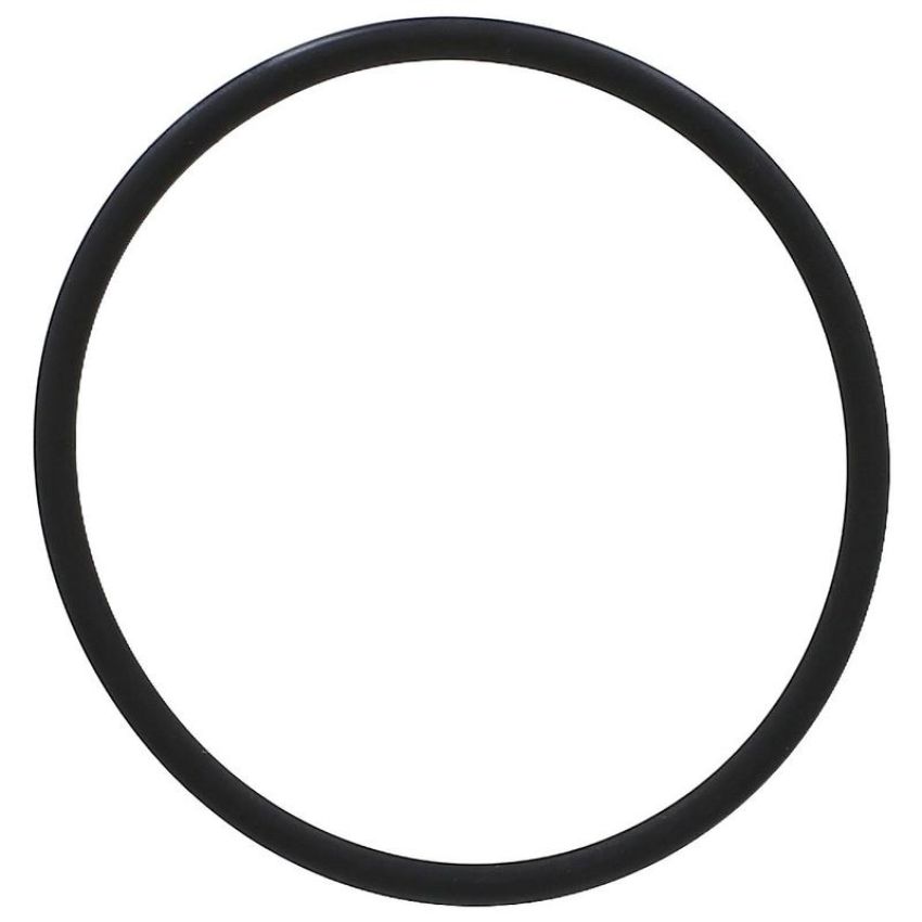 Elring 538.010 Seal Ring