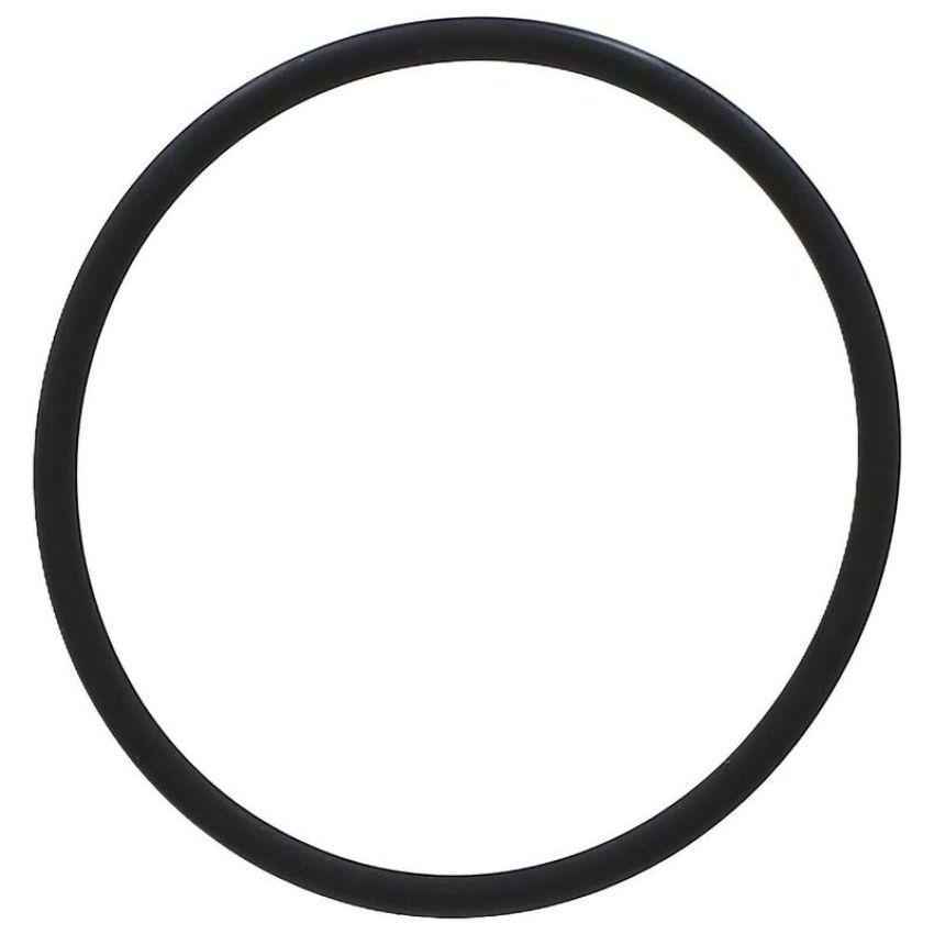 Elring 538.010 Seal Ring