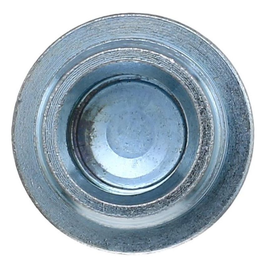 Elring 589.680 Screw Plug, oil sump