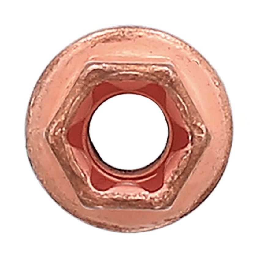 Elring 593.260 Locknut