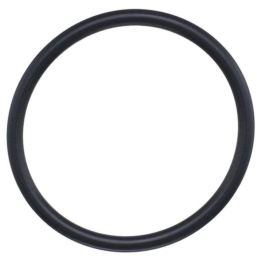 Elring 761.109 Seal Ring
