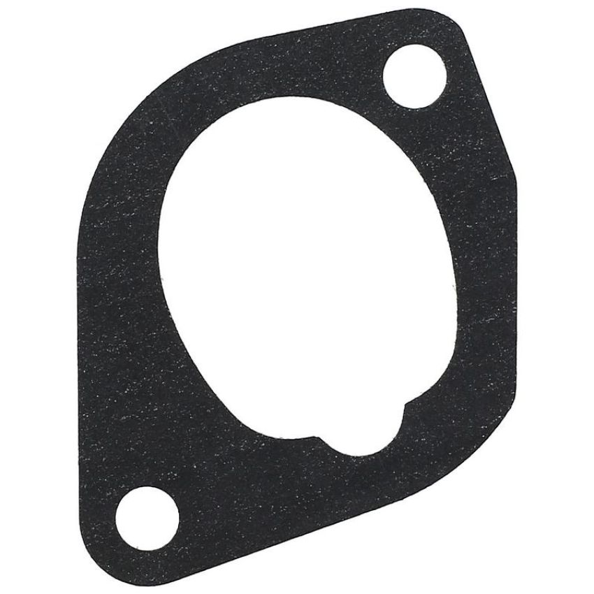 Elring 774.554 Gasket, intake manifold